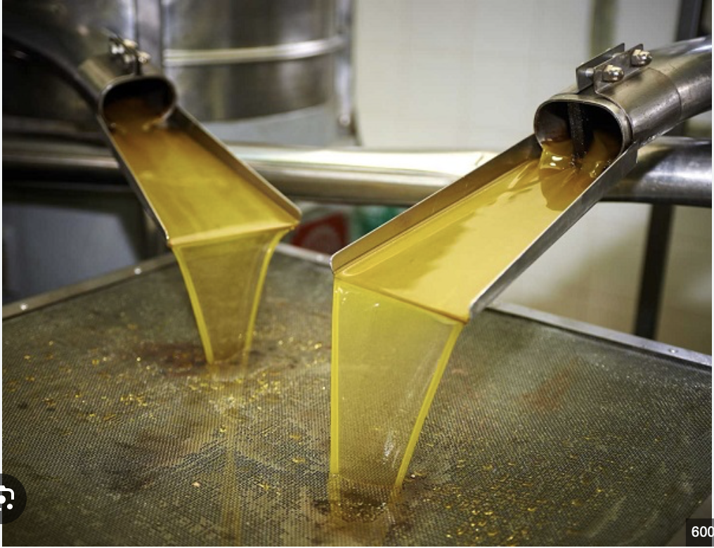 Олія Соняшникова